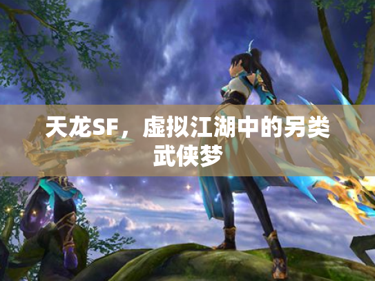 天龙SF，虚拟江湖中的另类武侠梦