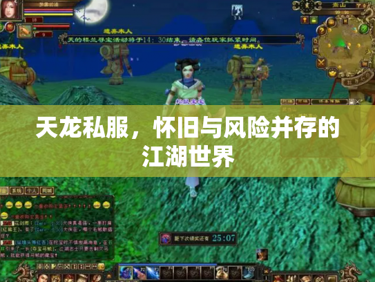 天龙私服，怀旧与风险并存的江湖世界