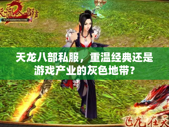 天龙八部私服，重温经典还是游戏产业的灰色地带？