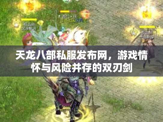天龙八部私服发布网，游戏情怀与风险并存的双刃剑