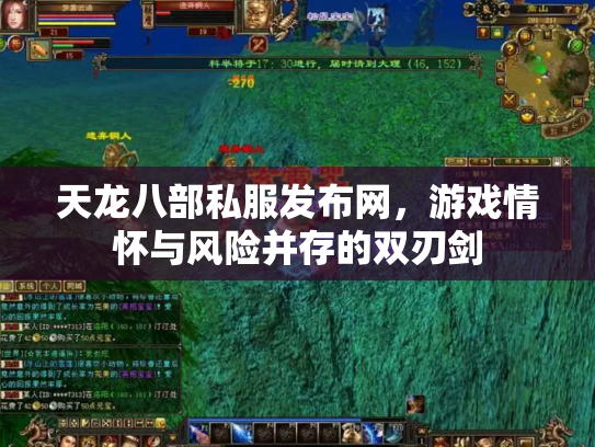 天龙八部私服发布网，游戏情怀与风险并存的双刃剑