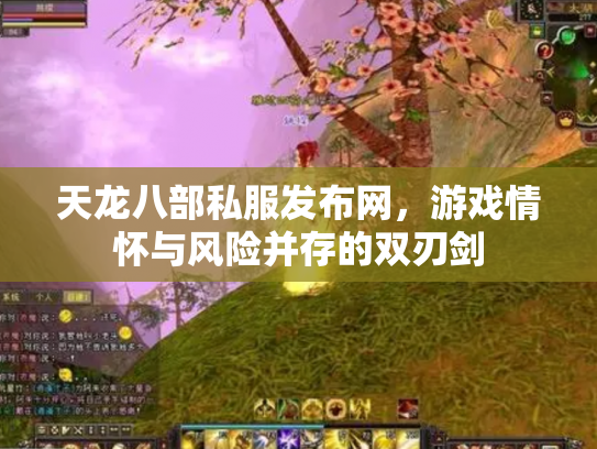 天龙八部私服发布网，游戏情怀与风险并存的双刃剑