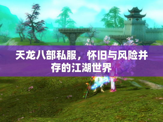 天龙八部私服，怀旧与风险并存的江湖世界