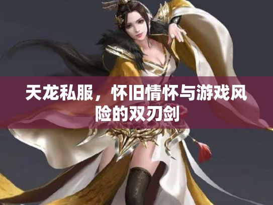 天龙私服，怀旧情怀与游戏风险的双刃剑