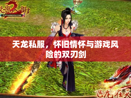 天龙私服，怀旧情怀与游戏风险的双刃剑