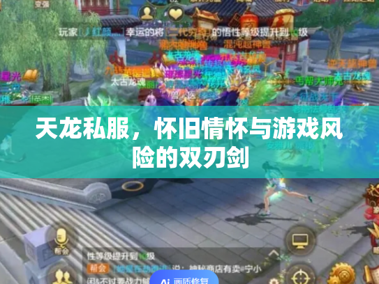 天龙私服，怀旧情怀与游戏风险的双刃剑