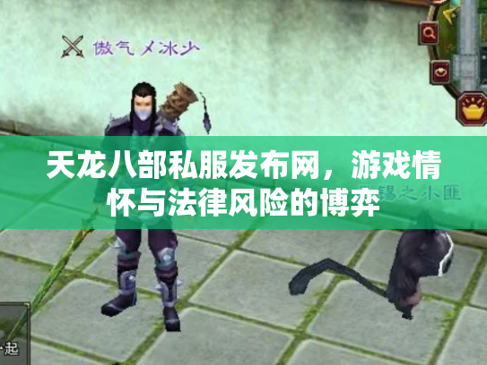 天龙八部私服发布网，游戏情怀与法律风险的博弈