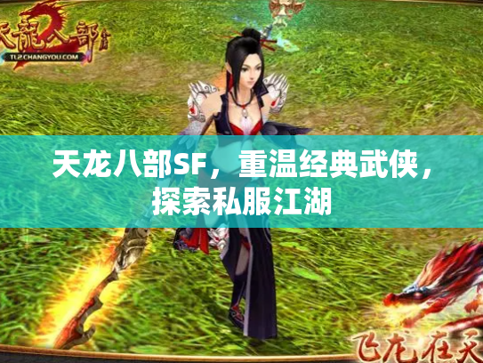 天龙八部SF，重温经典武侠，探索私服江湖