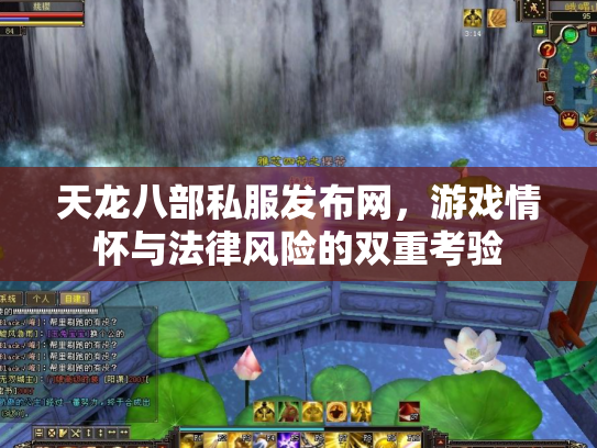 天龙八部私服发布网，游戏情怀与法律风险的双重考验