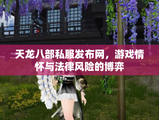 天龙八部私服发布网，游戏情怀与法律风险的博弈