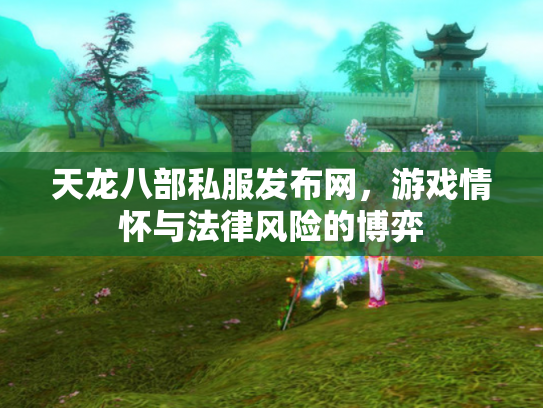 天龙八部私服发布网，游戏情怀与法律风险的博弈