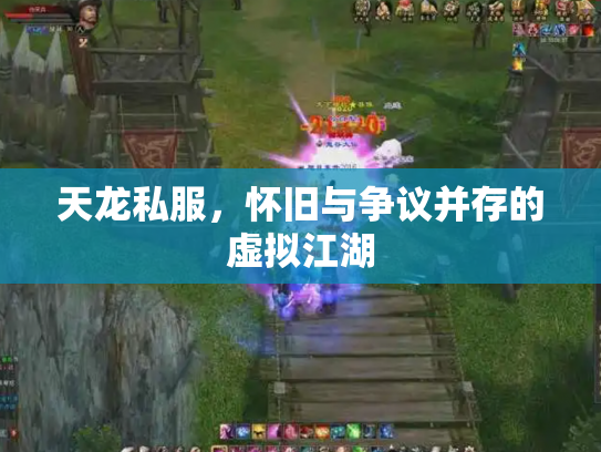 天龙私服，怀旧与争议并存的虚拟江湖