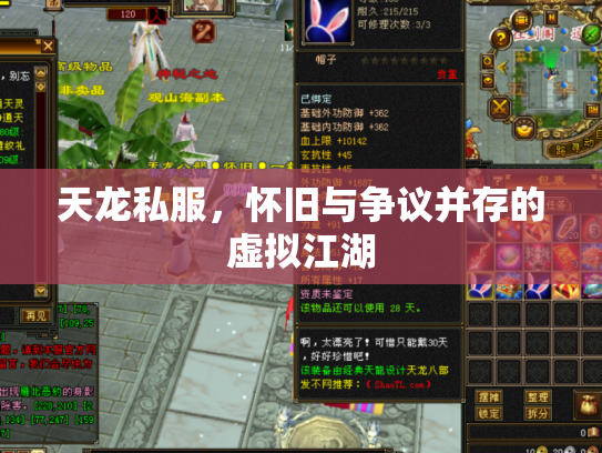 天龙私服，怀旧与争议并存的虚拟江湖