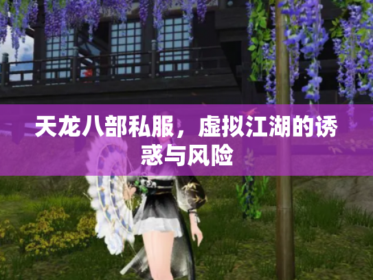 天龙八部私服，虚拟江湖的诱惑与风险