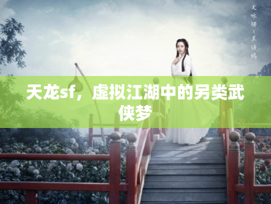 天龙sf，虚拟江湖中的另类武侠梦