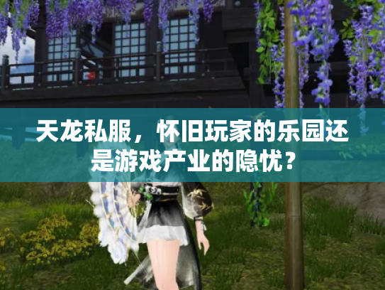 天龙私服，怀旧玩家的乐园还是游戏产业的隐忧？