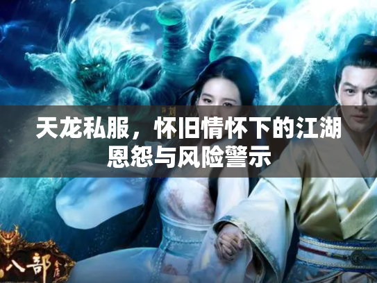 天龙私服，怀旧情怀下的江湖恩怨与风险警示