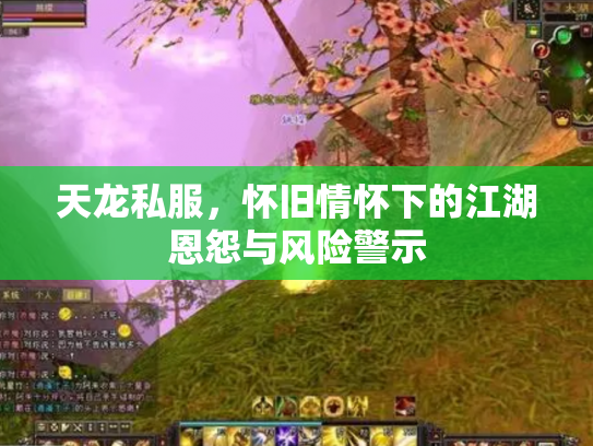 天龙私服，怀旧情怀下的江湖恩怨与风险警示
