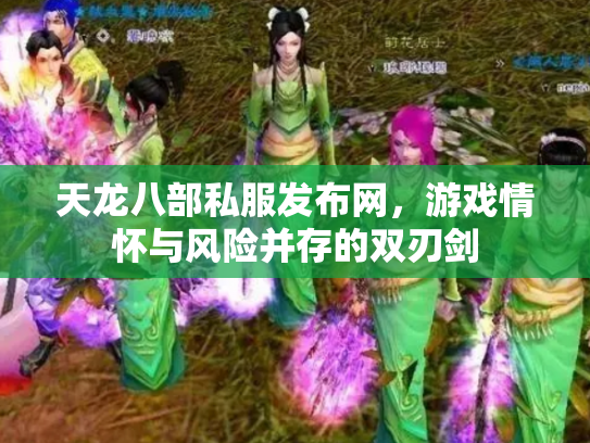 天龙八部私服发布网，游戏情怀与风险并存的双刃剑