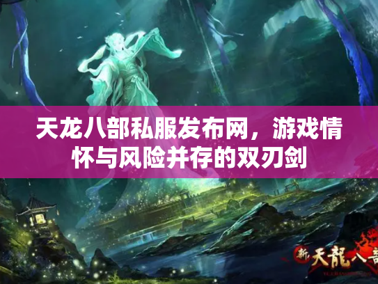天龙八部私服发布网，游戏情怀与风险并存的双刃剑