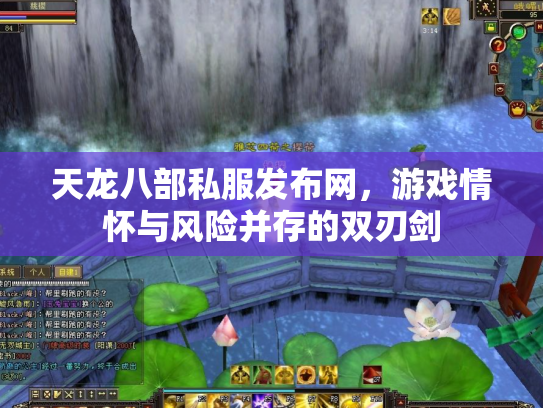 天龙八部私服发布网，游戏情怀与风险并存的双刃剑
