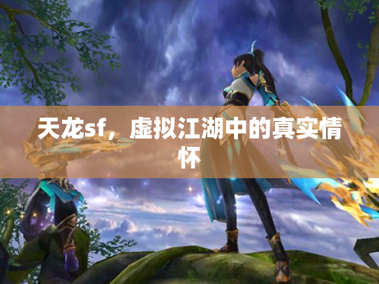 天龙sf，虚拟江湖中的真实情怀