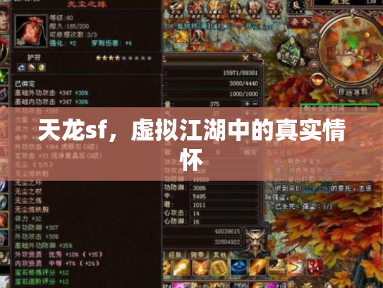天龙sf，虚拟江湖中的真实情怀