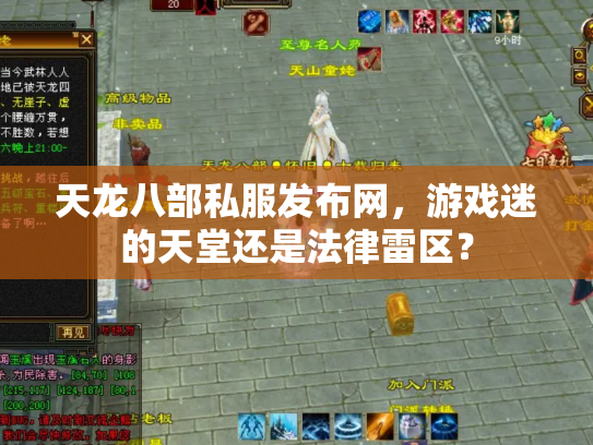 天龙八部私服发布网，游戏迷的天堂还是法律雷区？