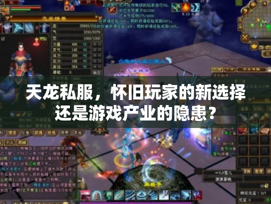 天龙私服，怀旧玩家的新选择还是游戏产业的隐患？