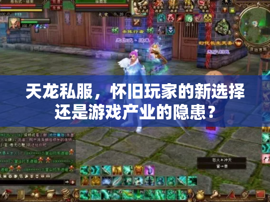 天龙私服，怀旧玩家的新选择还是游戏产业的隐患？