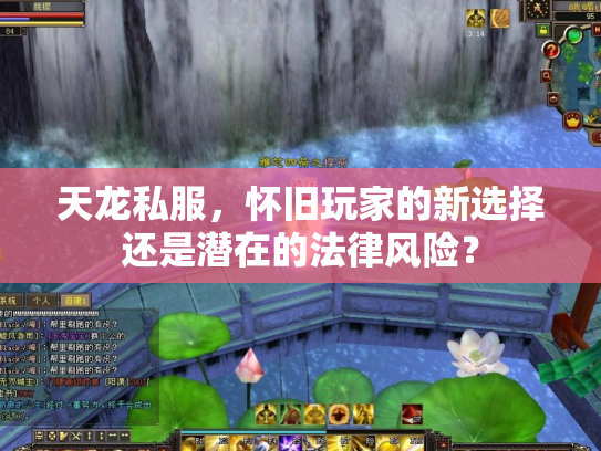 天龙私服，怀旧玩家的新选择还是潜在的法律风险？