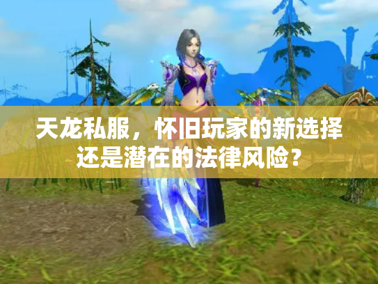 天龙私服，怀旧玩家的新选择还是潜在的法律风险？