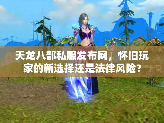 天龙八部私服发布网，怀旧玩家的新选择还是法律风险？