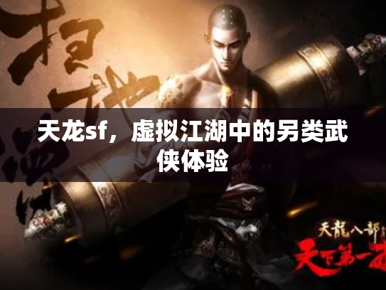 天龙sf，虚拟江湖中的另类武侠体验