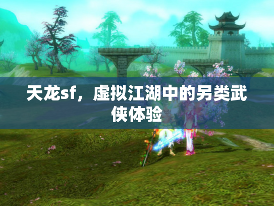 天龙sf，虚拟江湖中的另类武侠体验
