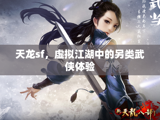 天龙sf，虚拟江湖中的另类武侠体验