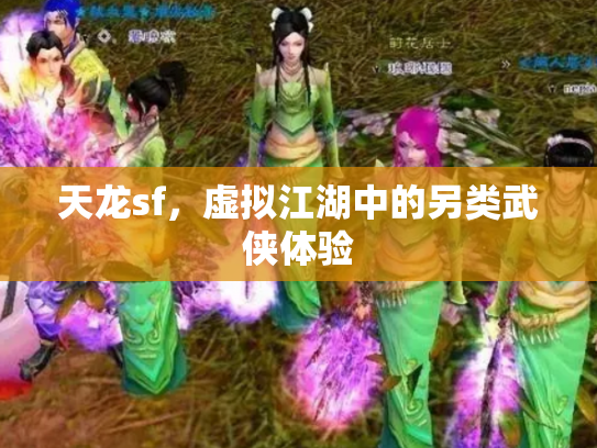 天龙sf，虚拟江湖中的另类武侠体验