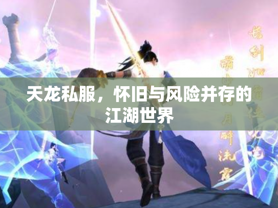 天龙私服，怀旧与风险并存的江湖世界