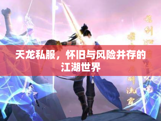 天龙私服，怀旧与风险并存的江湖世界