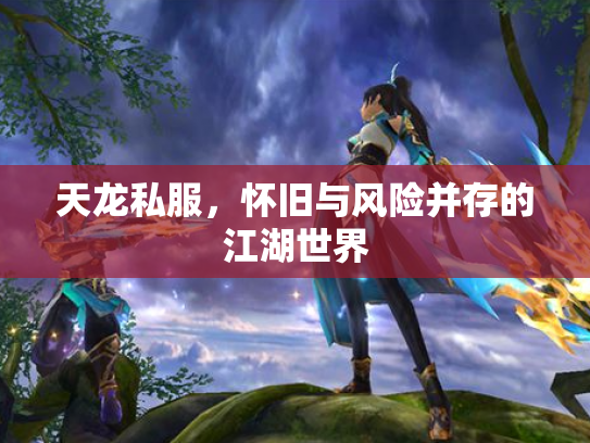 天龙私服，怀旧与风险并存的江湖世界