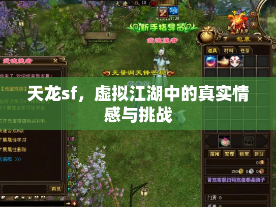 天龙sf，虚拟江湖中的真实情感与挑战