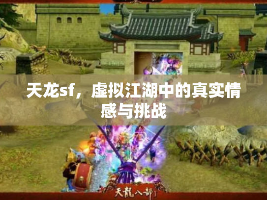 天龙sf，虚拟江湖中的真实情感与挑战