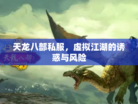 天龙八部私服，虚拟江湖的诱惑与风险