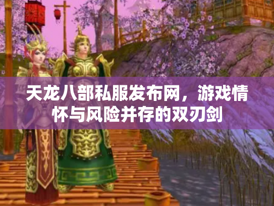 天龙八部私服发布网，游戏情怀与风险并存的双刃剑