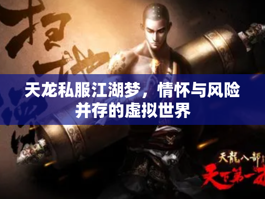 天龙私服江湖梦，情怀与风险并存的虚拟世界