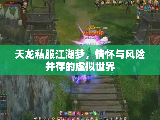 天龙私服江湖梦，情怀与风险并存的虚拟世界