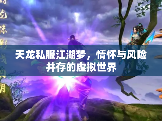 天龙私服江湖梦，情怀与风险并存的虚拟世界