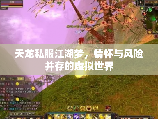 天龙私服江湖梦，情怀与风险并存的虚拟世界