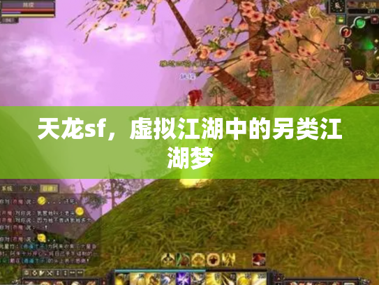 天龙sf，虚拟江湖中的另类江湖梦