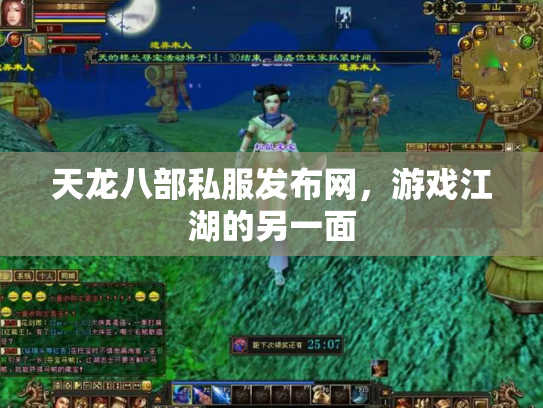 天龙八部私服发布网，游戏江湖的另一面